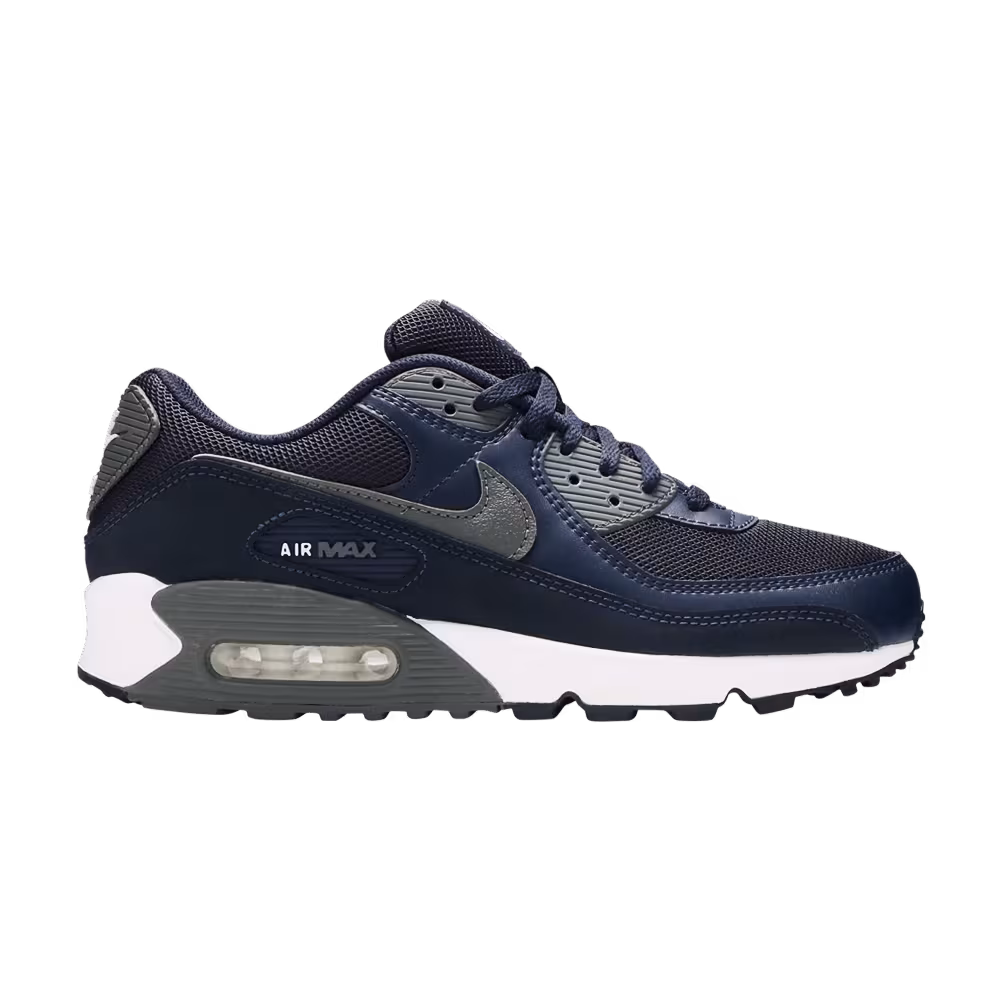 Nike Air Max 90 Obsidian Iron Grey