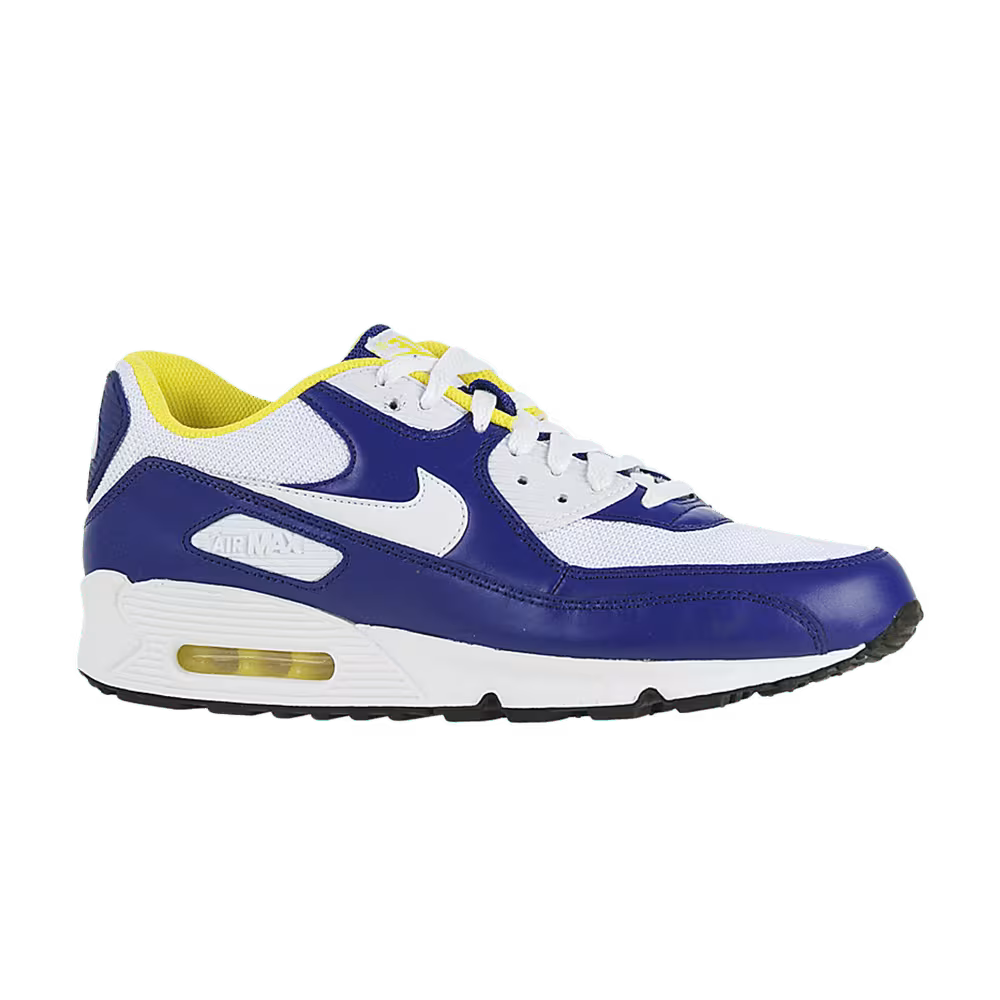 Nike Air Max 90 Wicket Purple