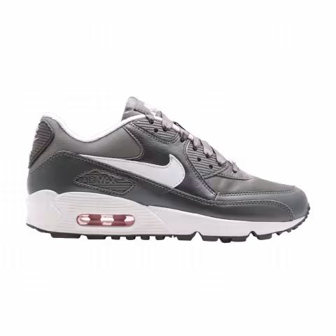 Nike Wmns Air Max 90