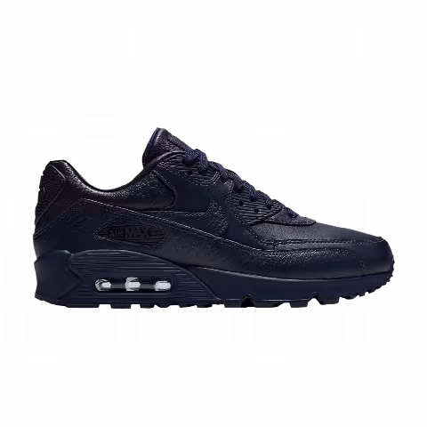 Nike Wmns Air Max 90 Pinnacle 'Obsidian'