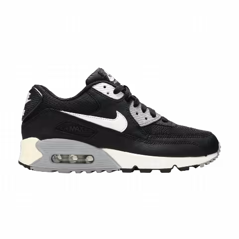 Nike Wmns Air Max 90 Essential 'Black Wolf Grey'