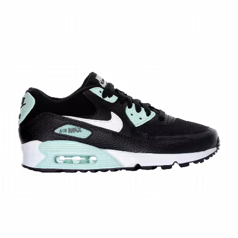 Nike Wmns Air Max 90 'Black Igloo'