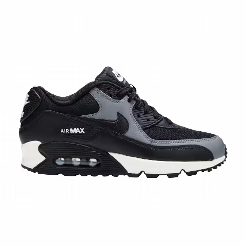 Nike Wmns Air Max 90 'Black Cool Grey'