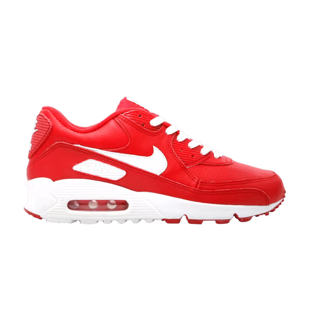 Nike Women's Air Max 90 Leather B Valentine