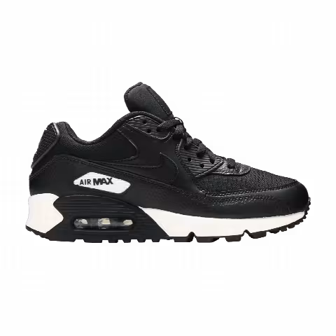 Nike Wmns Air Max 90 'Black White'